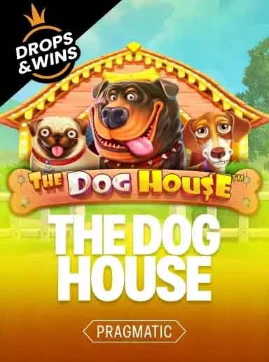 The Dog House Lucky Bear